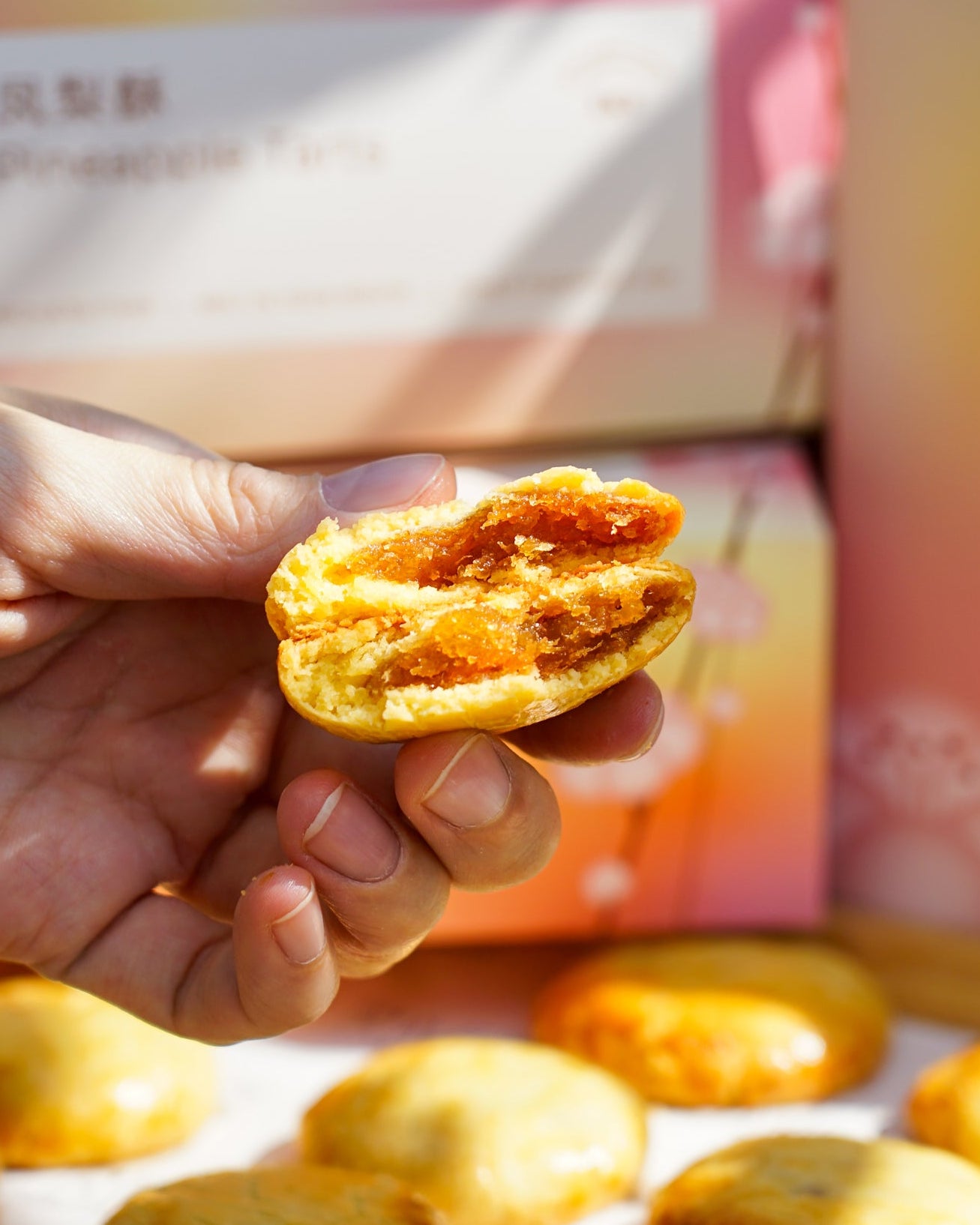 2026 Chinese New Year — Pineapple Tarts Set