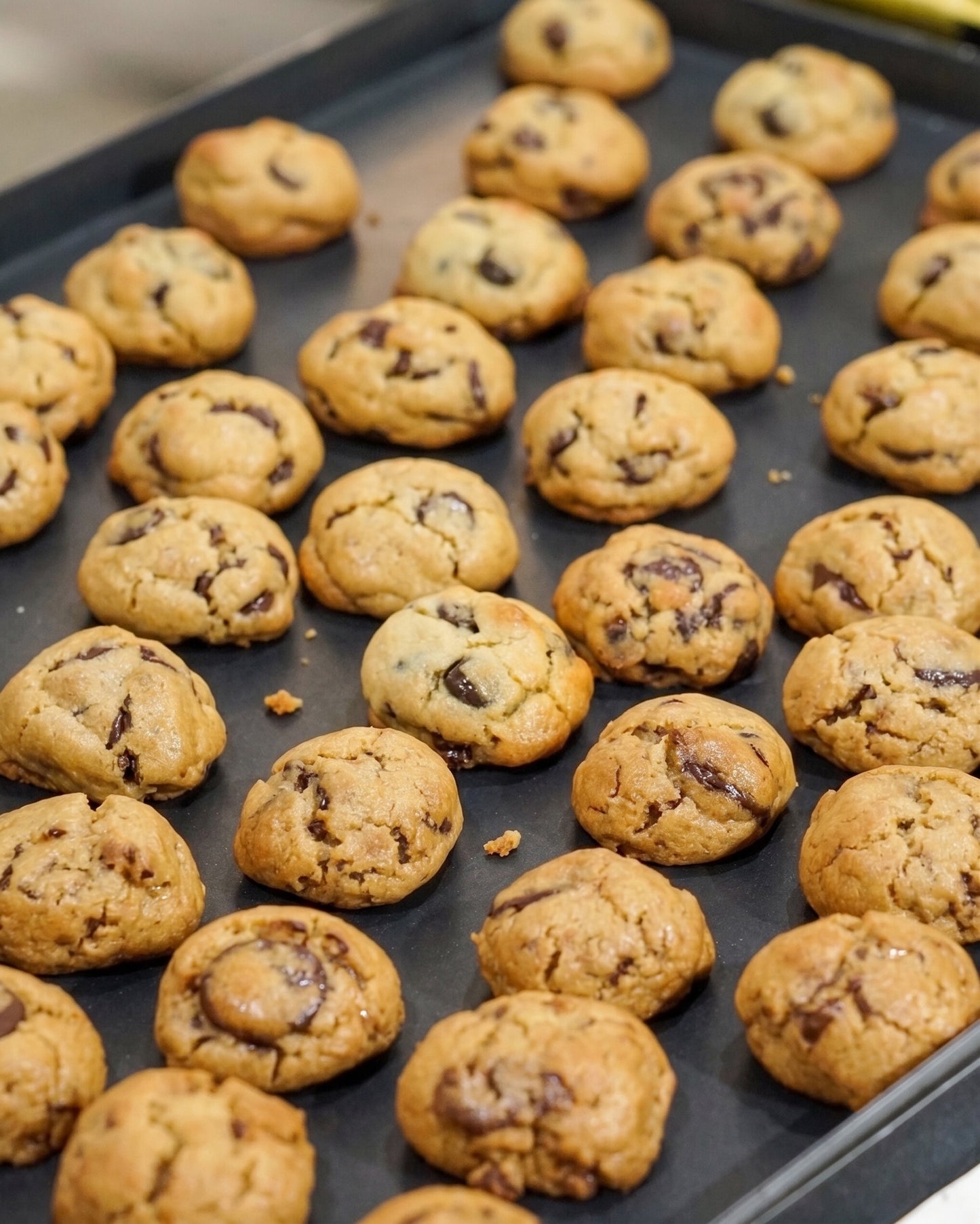 Mini OG Chocolate Chip